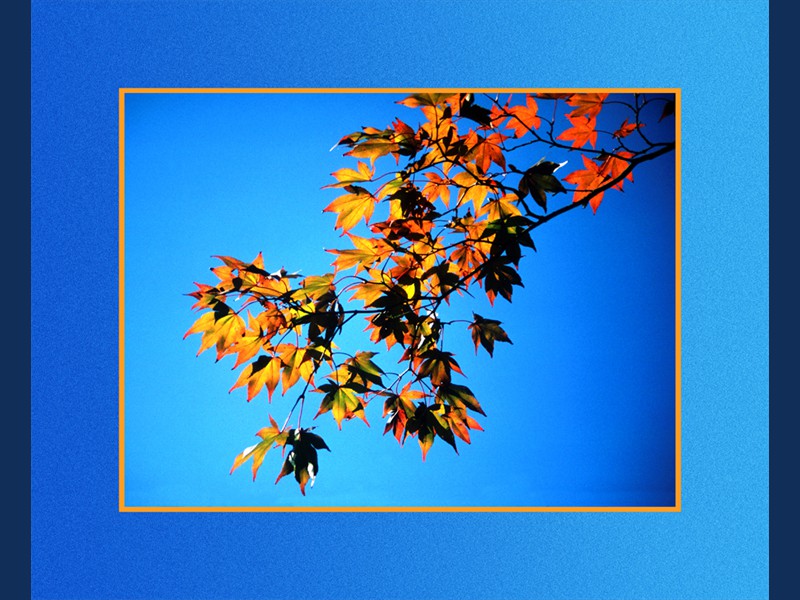 autumn leaves alt copy