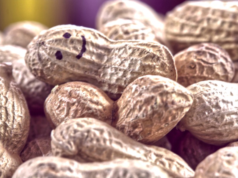 Happy Nuts
