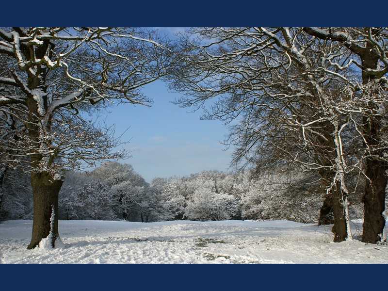 07 JAN 2010 EF Pole Hill SONY 16