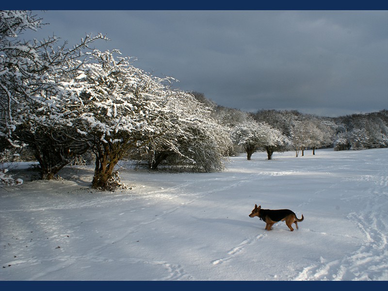 07 JAN 2010 EF Pole Hill SONY 20